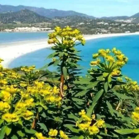 Al Mare, Minimo 10 Gg Holiday home