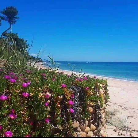 Al Mare, Minimo 10 Gg * Pula
